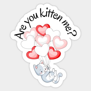 Are you kitten me? Sticker